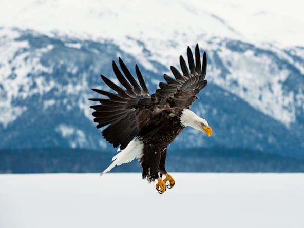 Haines, Alaska